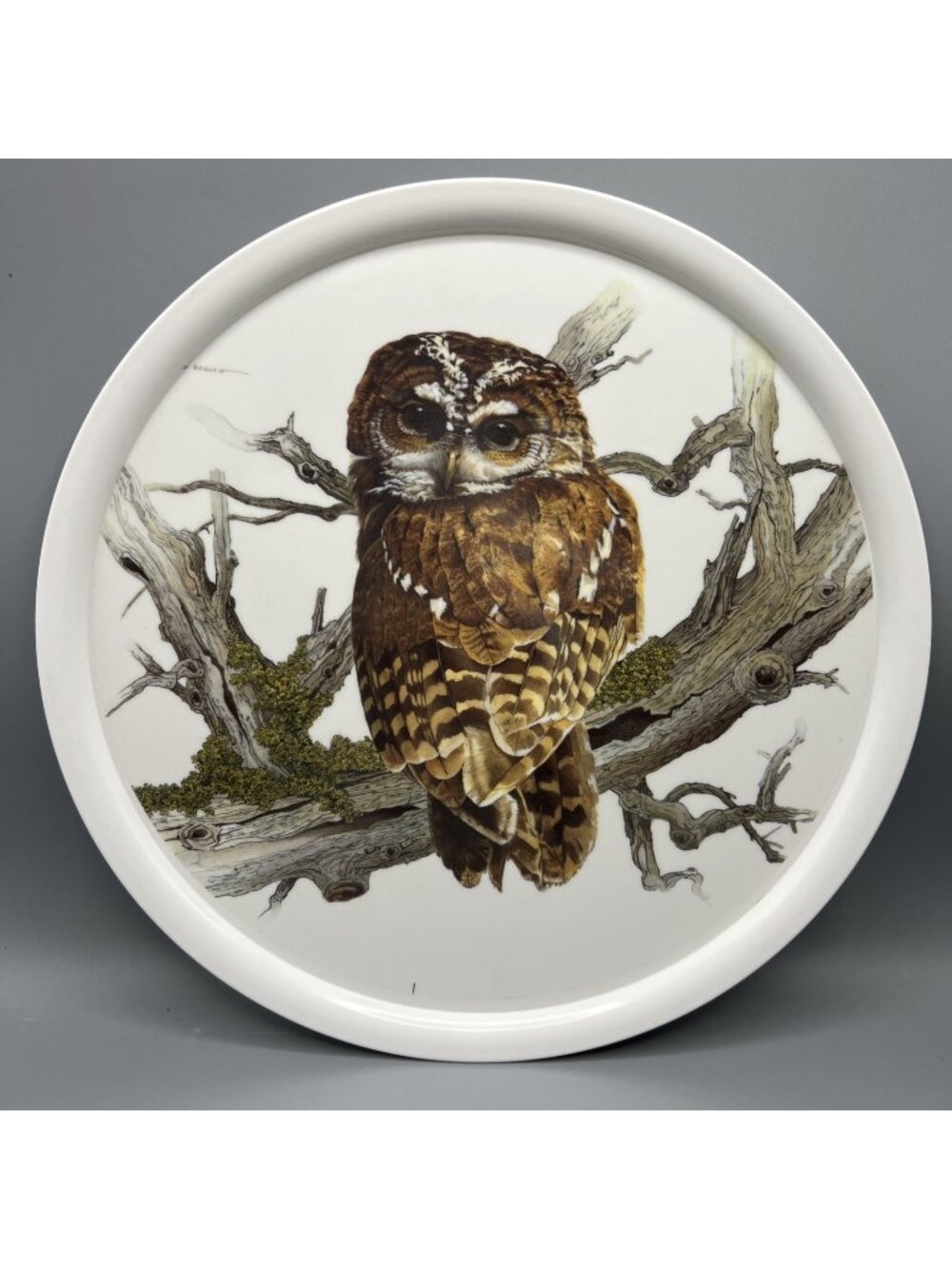 1960’s Melamine Serving Tray OWL on Branch Plate Barware Vintage MCM by R Beavan